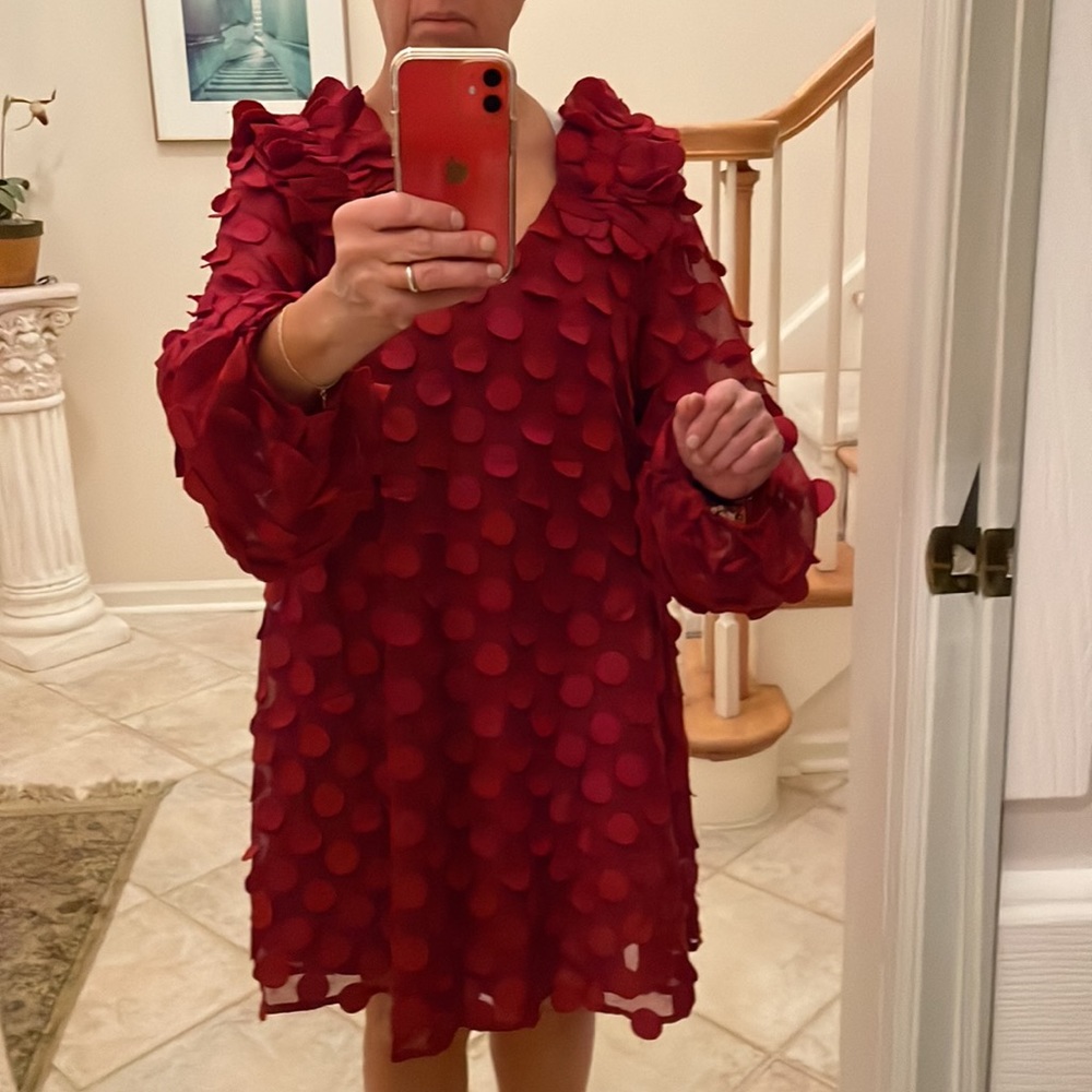 Jodifl Party Dress - Picture 4 of 5